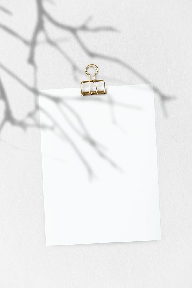 Blank white postcard with twigs shadow on a wall