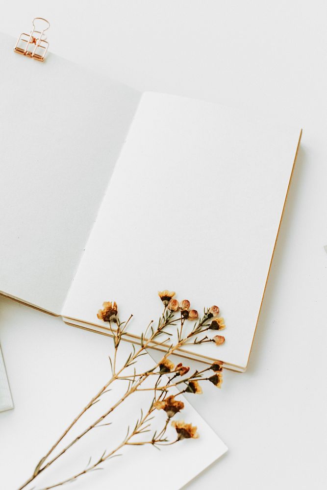 Blank white notebook with dried plant