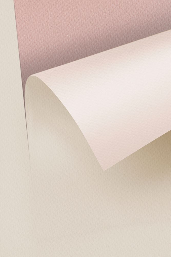 Blank rolled beige craft paper 