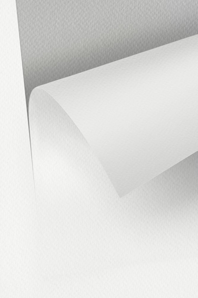 Rolled gray chart paper mockup  design element