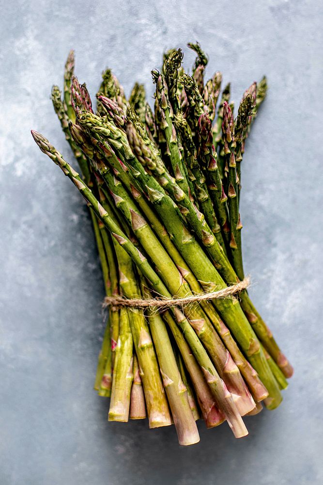 Asparagus tied in a bundle 