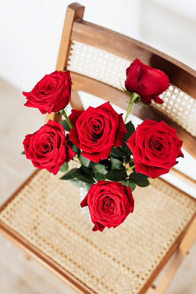 Red roses in a glass vase on a wooden chair