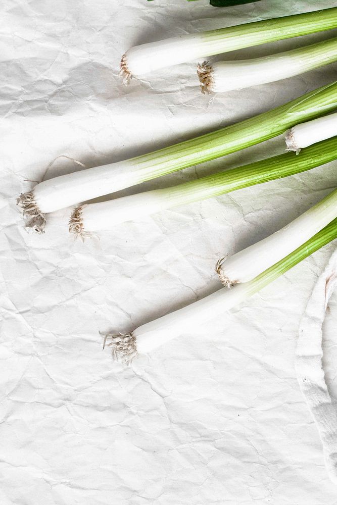 Natural fresh organic green scallions