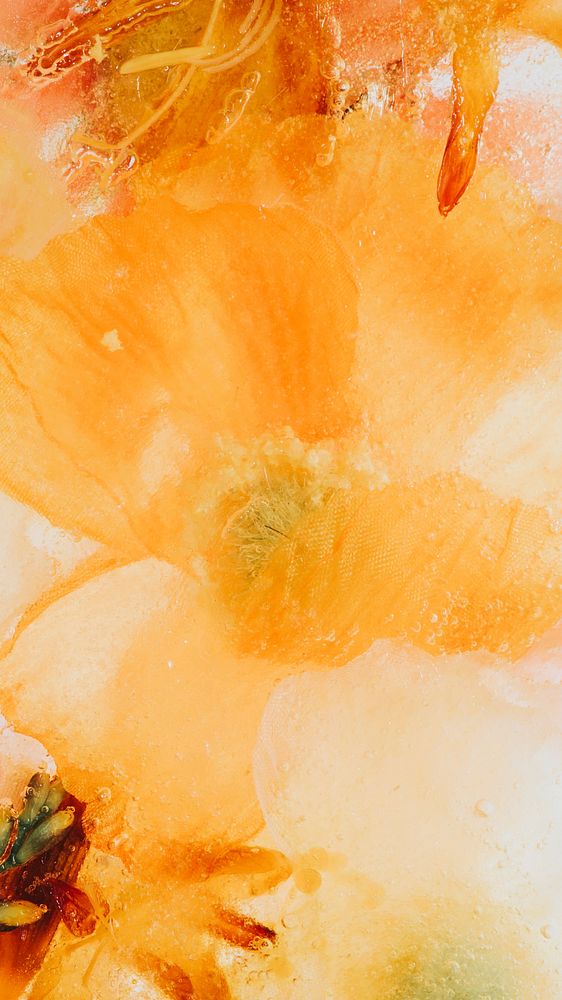 Blooming orange natural forsythia flower