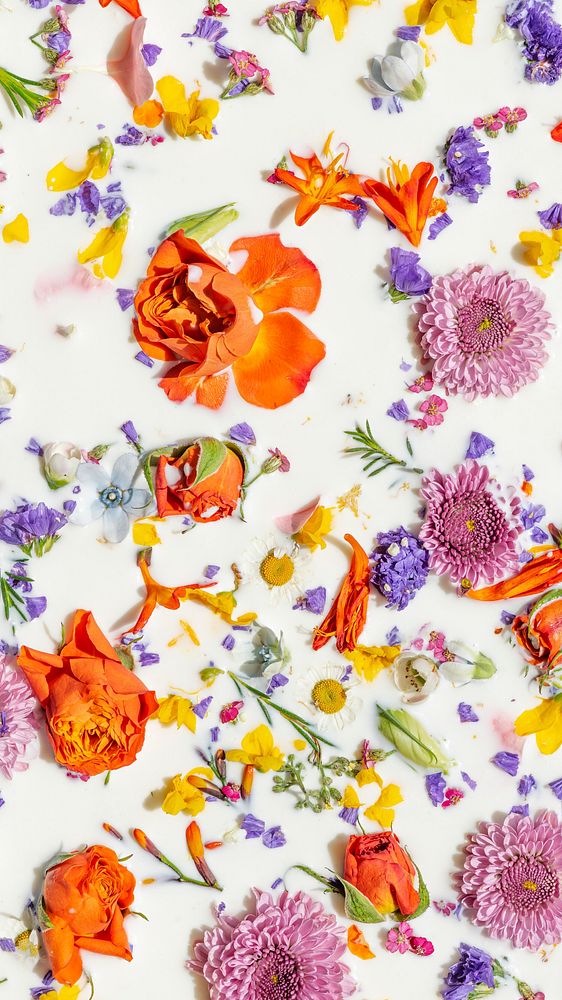Colorful summer flowers in a milk bath background