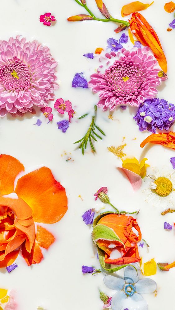 Colorful summer flowers in a milk bath background