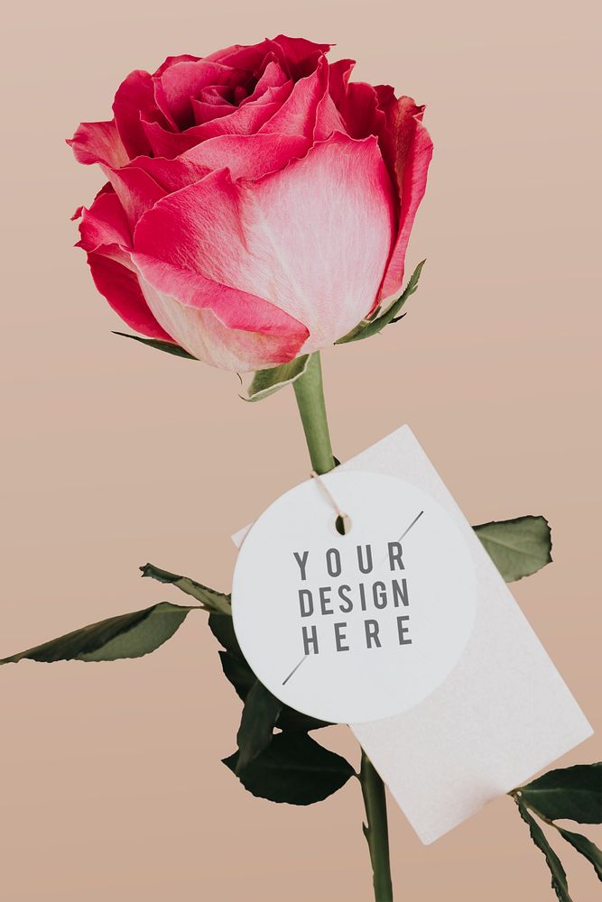 Rose flower with a tag mockup