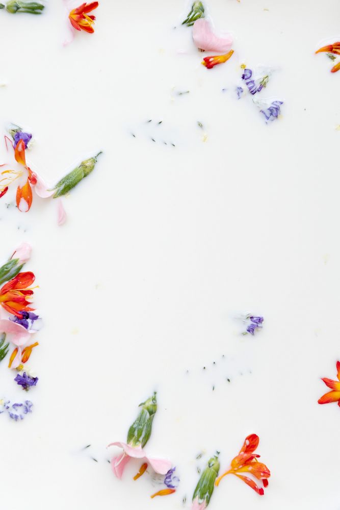 Copy space with colorful flowers in a milk bath