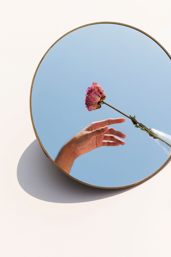 Dried pink peony flower in a clear vase reflected on a mirror