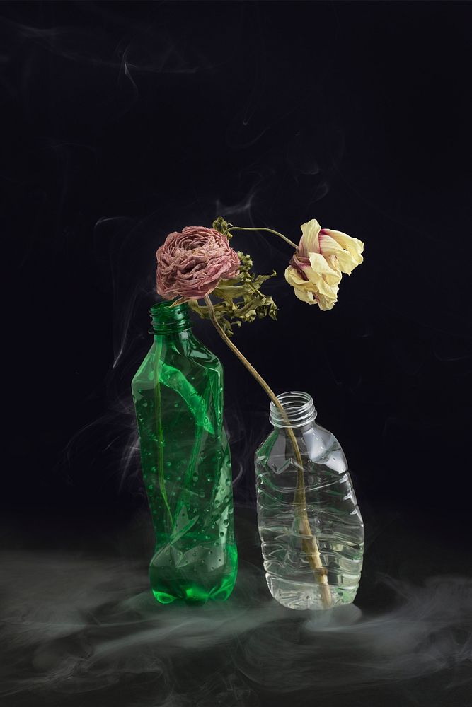 Dried flowers in crashed plastic bottles on a black background