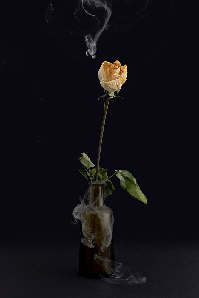 Dried white rose in a brown glass vase