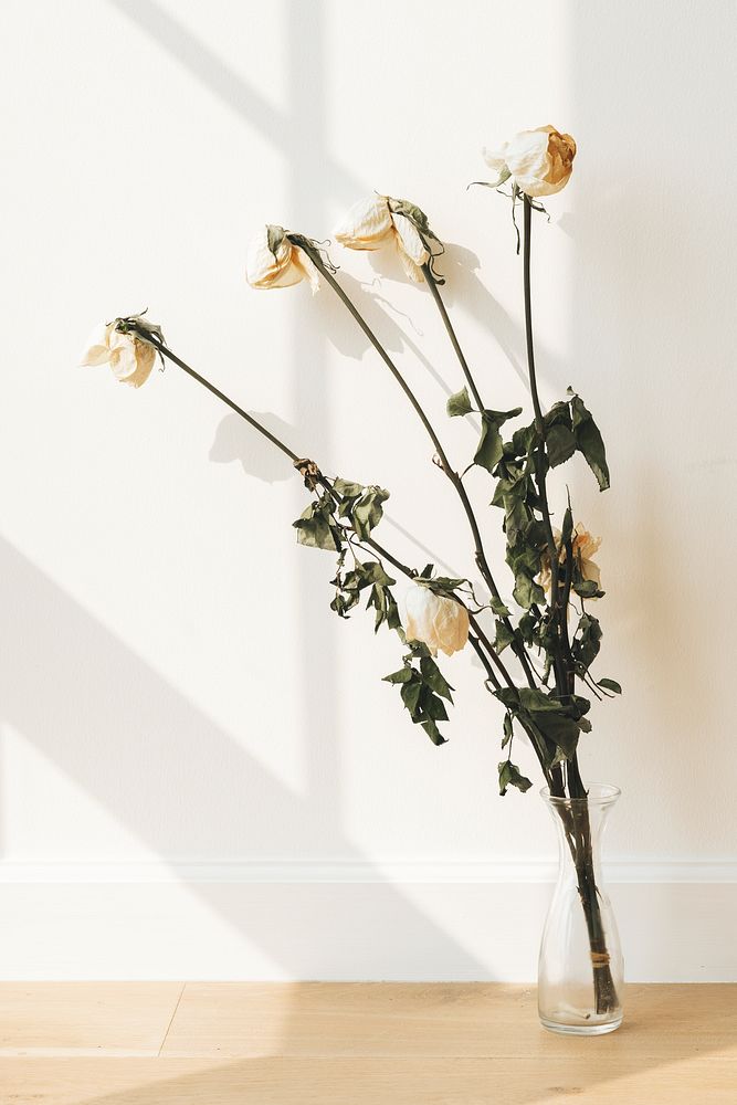 Dried white roses in a clear vase on a wooden floor