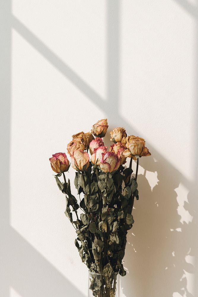 Bouquet of dried roses with a window shadow on a wall
