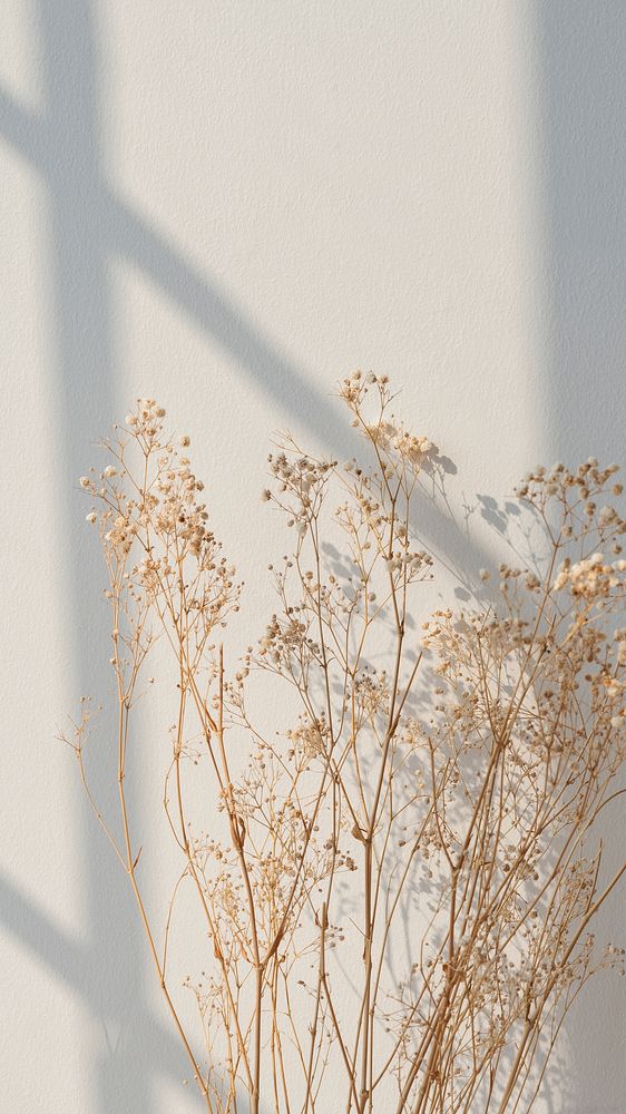 Aesthetic iPhone wallpaper, minimal beige background, Autumn style