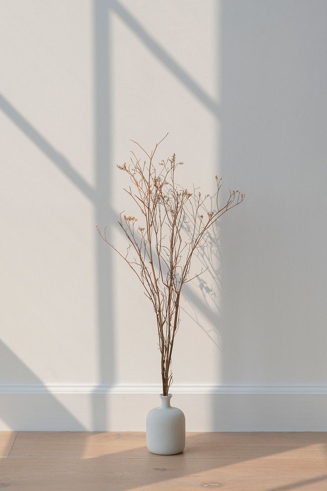 Dried white statice flower in a white vase on a wooden floor