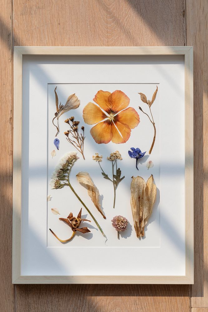 Dried flowers collection in a wooden picture frame