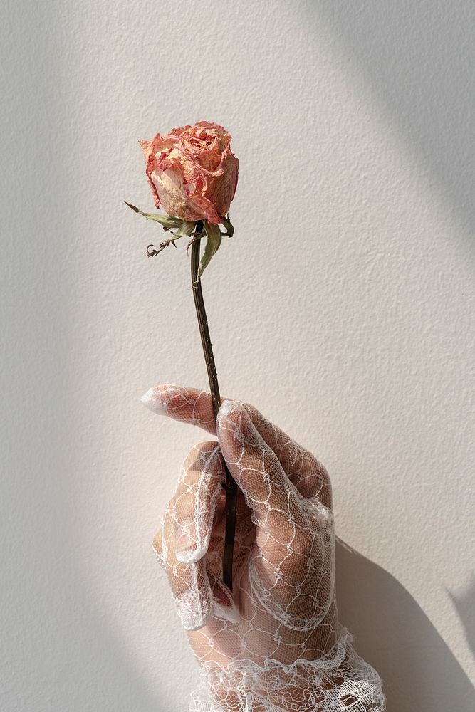 Woman in a lace glove holding a dried orange rose