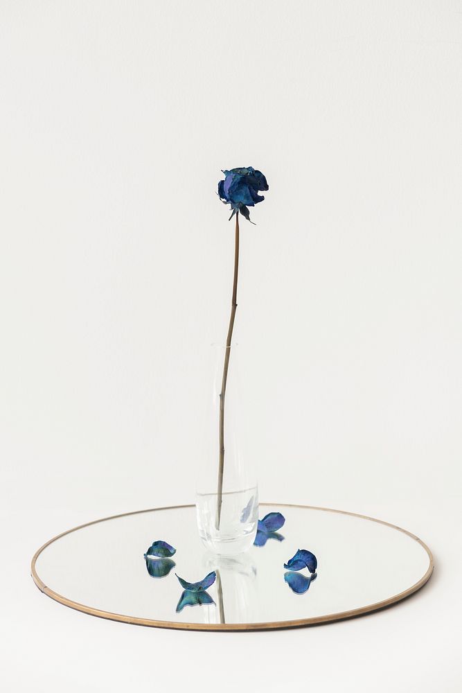 Dried blue rose in a clear vase on a shiny tray