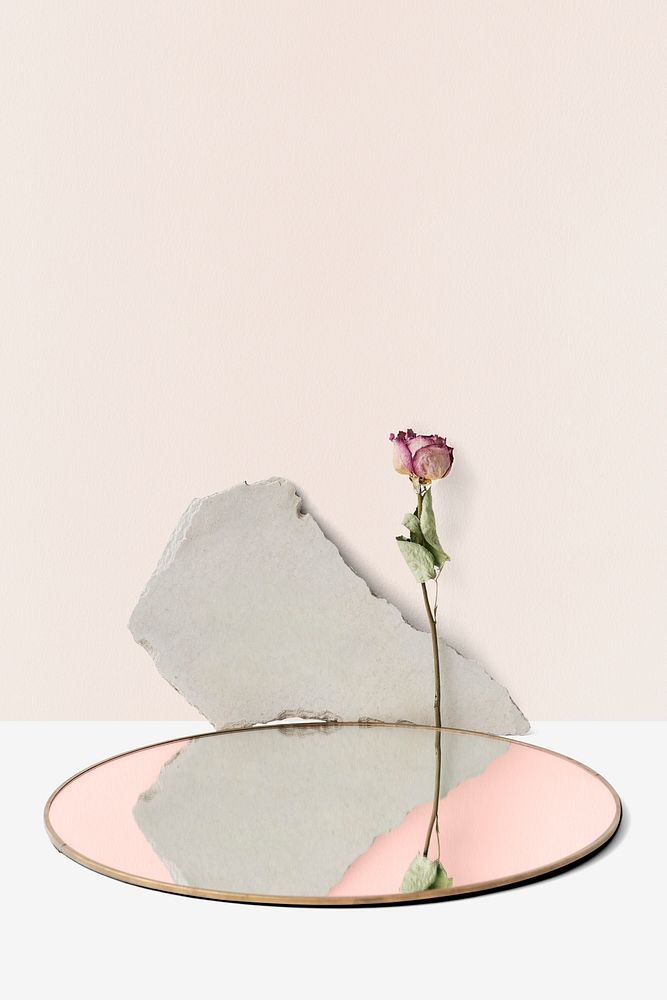 Dried rose by a round mirror
