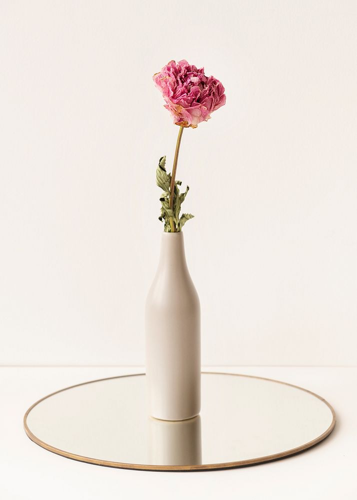 Dried pink peony flower in a beige vase on a shiny tray