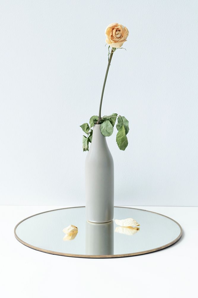 Dried white rose in a vase on a shiny round tray