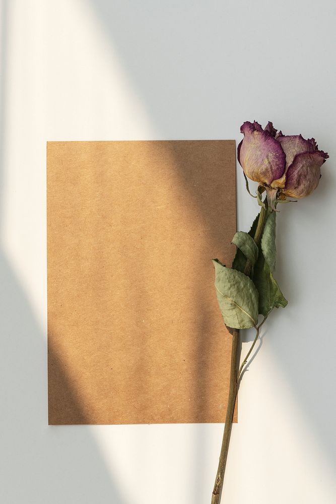 Dried pink rose with a brown card