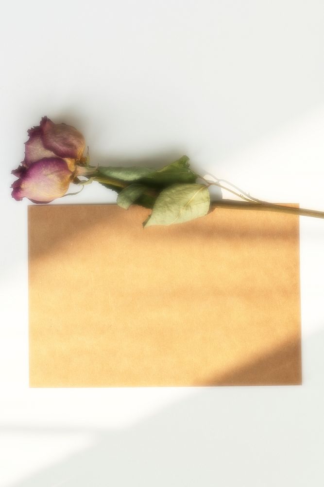 Dried pink rose with a brown card