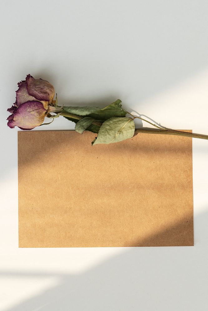 Dried pink rose with a brown card