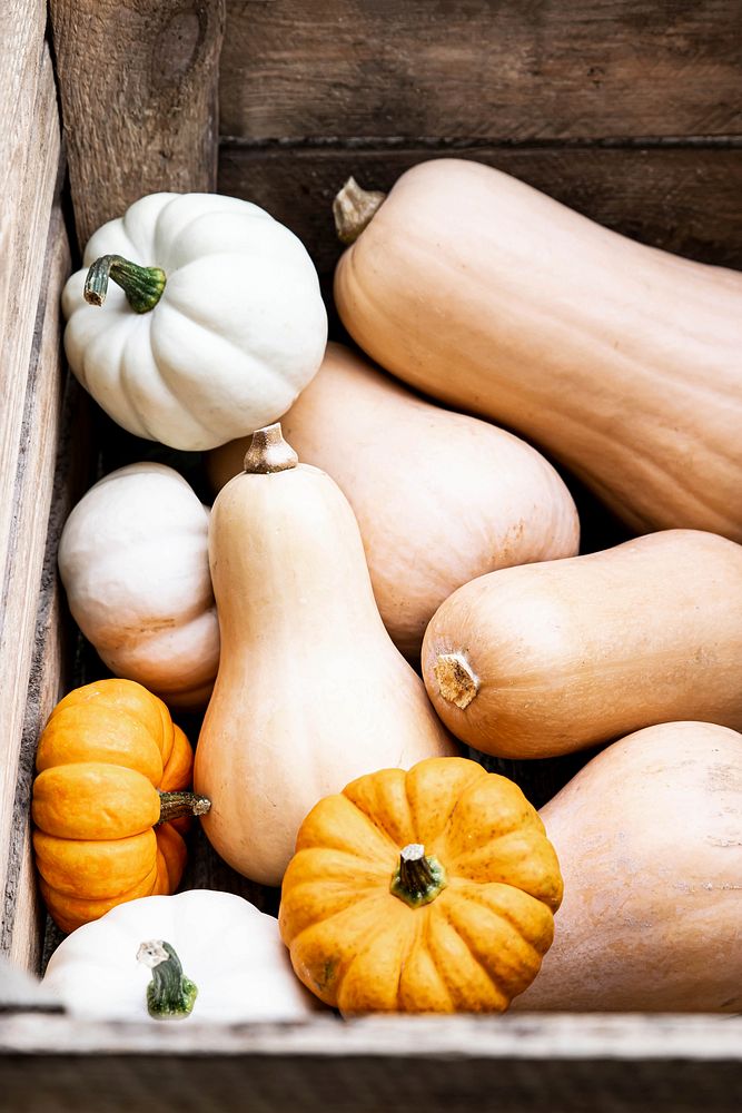 Organic butternut squash and pumpkin in wooden box