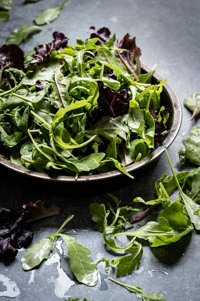 Fresh mesclun mixed green and purple lettuce in a bowl