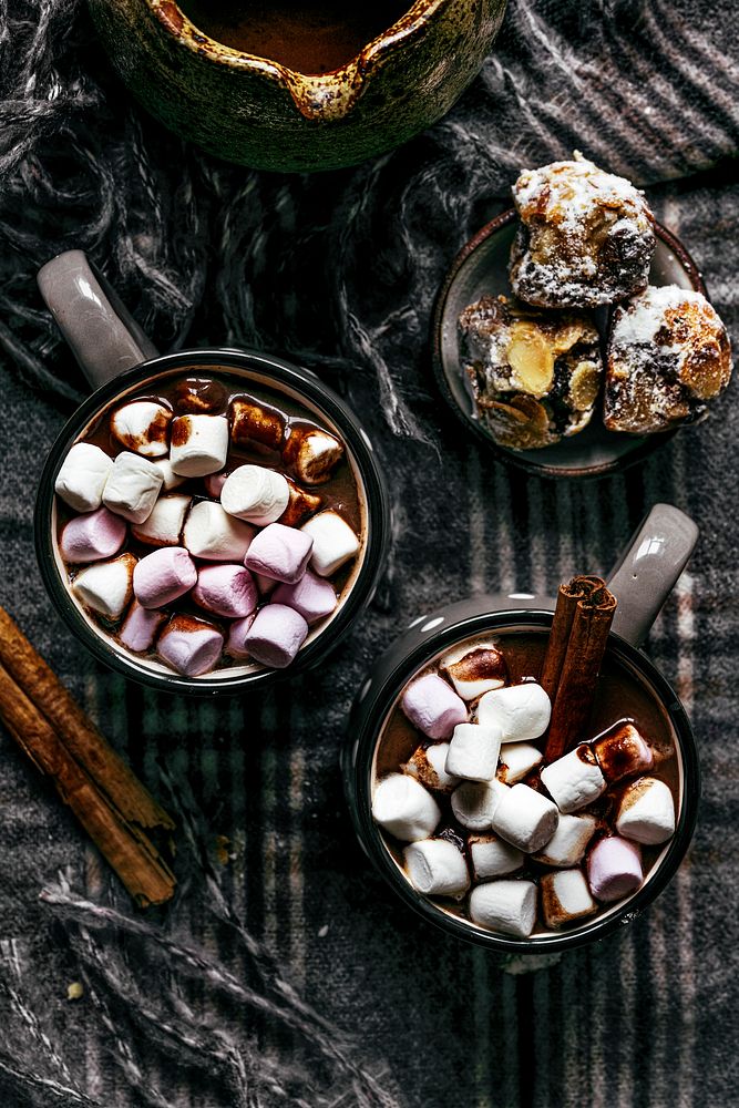 Hot chocolate with cinnamon in a mug holiday food photography
