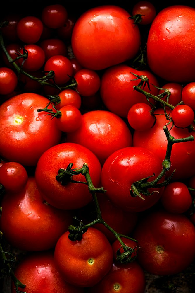 Fresh small red tomatoes background