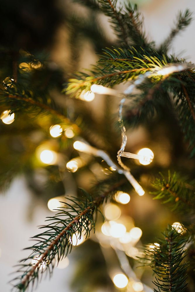 Fesive Christmas tree with fairy lights