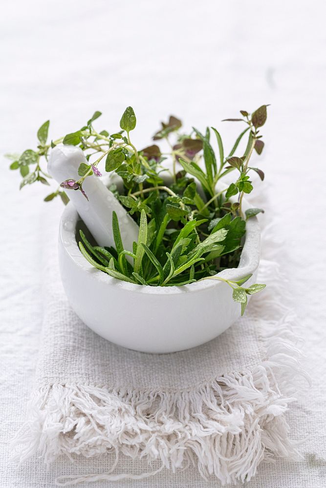 Green herbs in mortar food photography