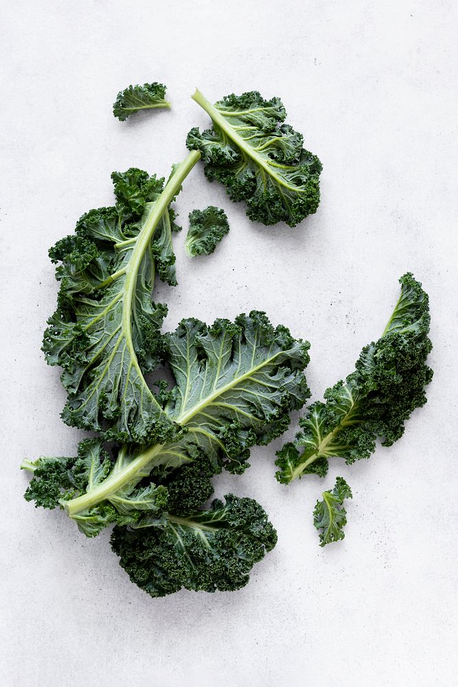 Kale leaves flat lay food photography