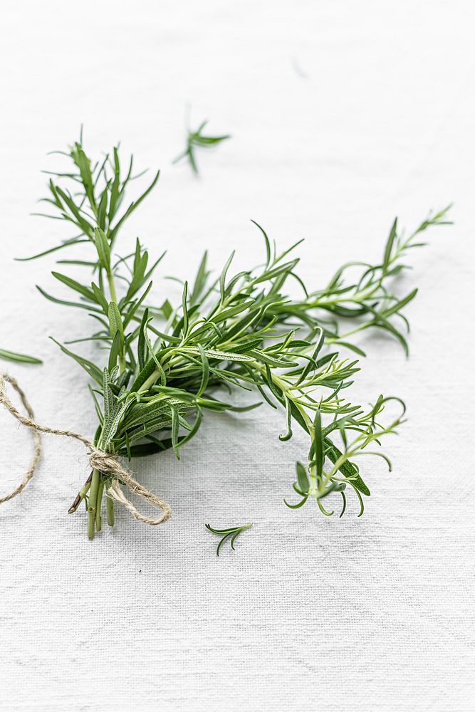 Rosemary leaves close up