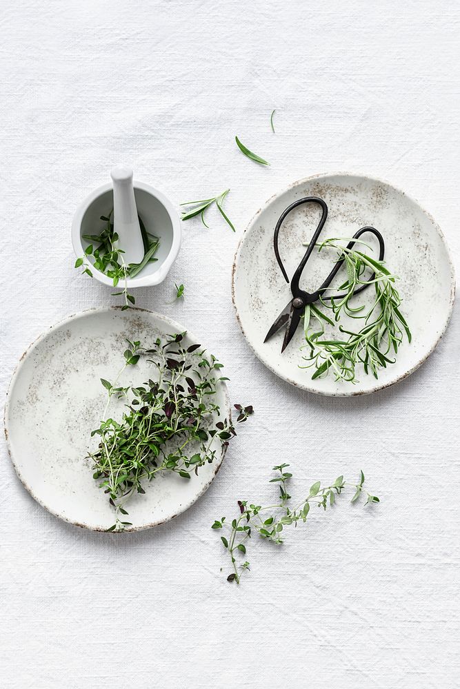 Thyme and rosemary leaves flat lay food photography