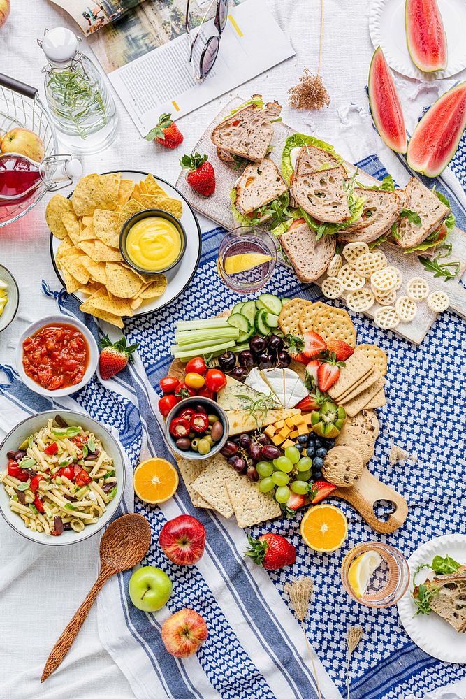 Summer picnic with cheese board and sandwiches