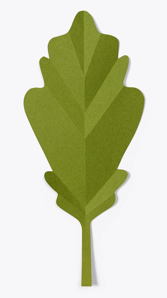 Oak leaf in paper craft style