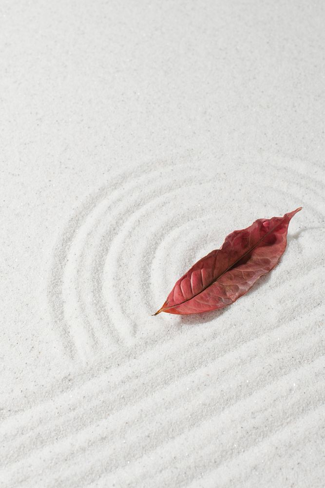Red autumn leaf on white sand