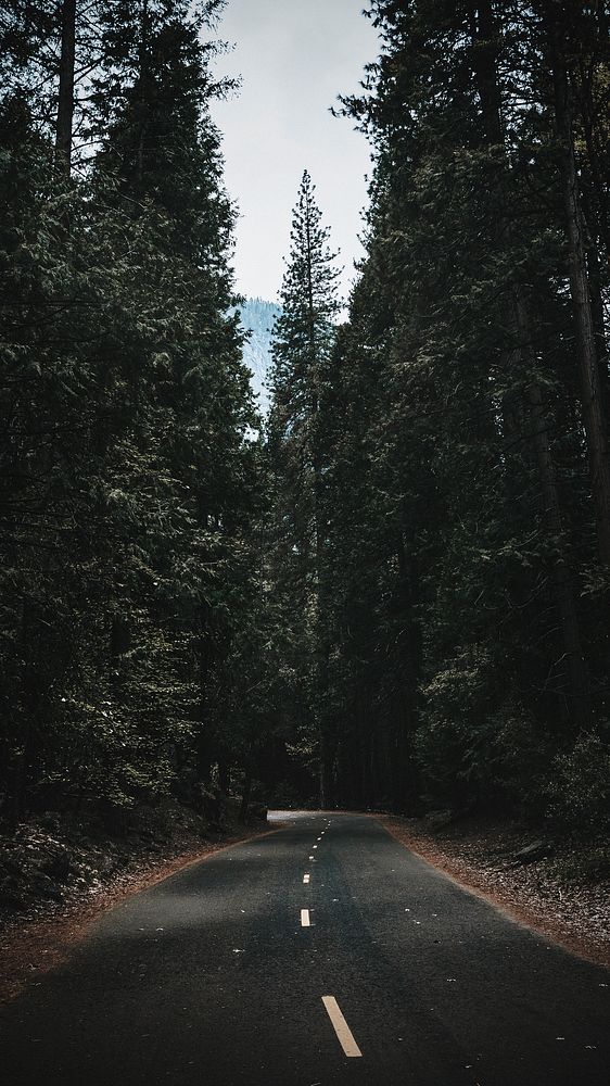 Road passing through the Yosemite National Park mobile screen wallpaper