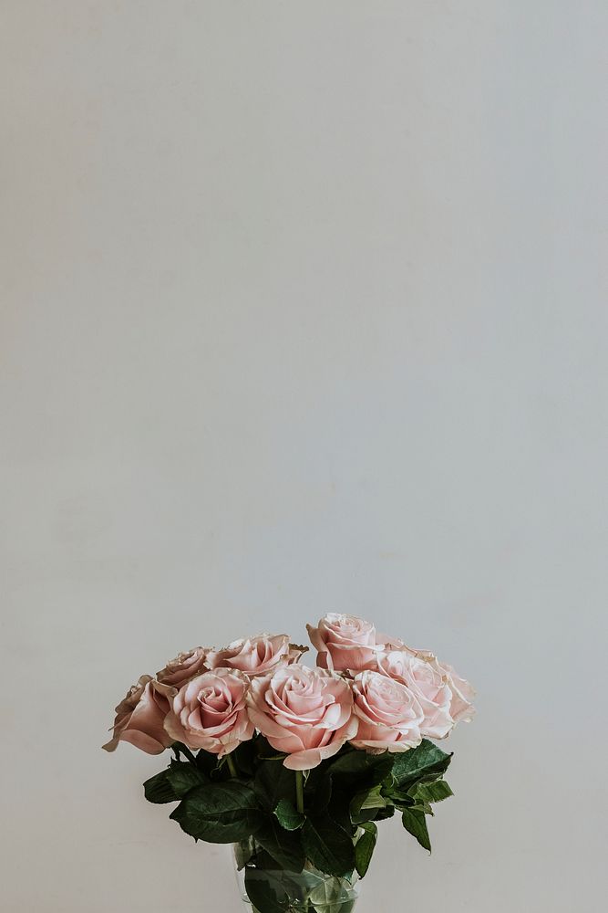 Fresh pink roses in a vase