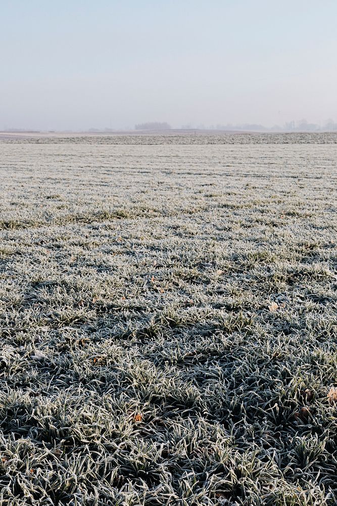 Frozen field in wintertime