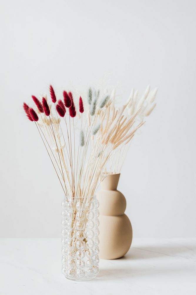 Dried Bunny Tail grass in a vase
