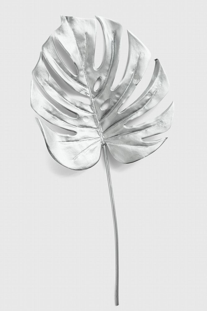 Monstera leaf painted in silver on a gray background