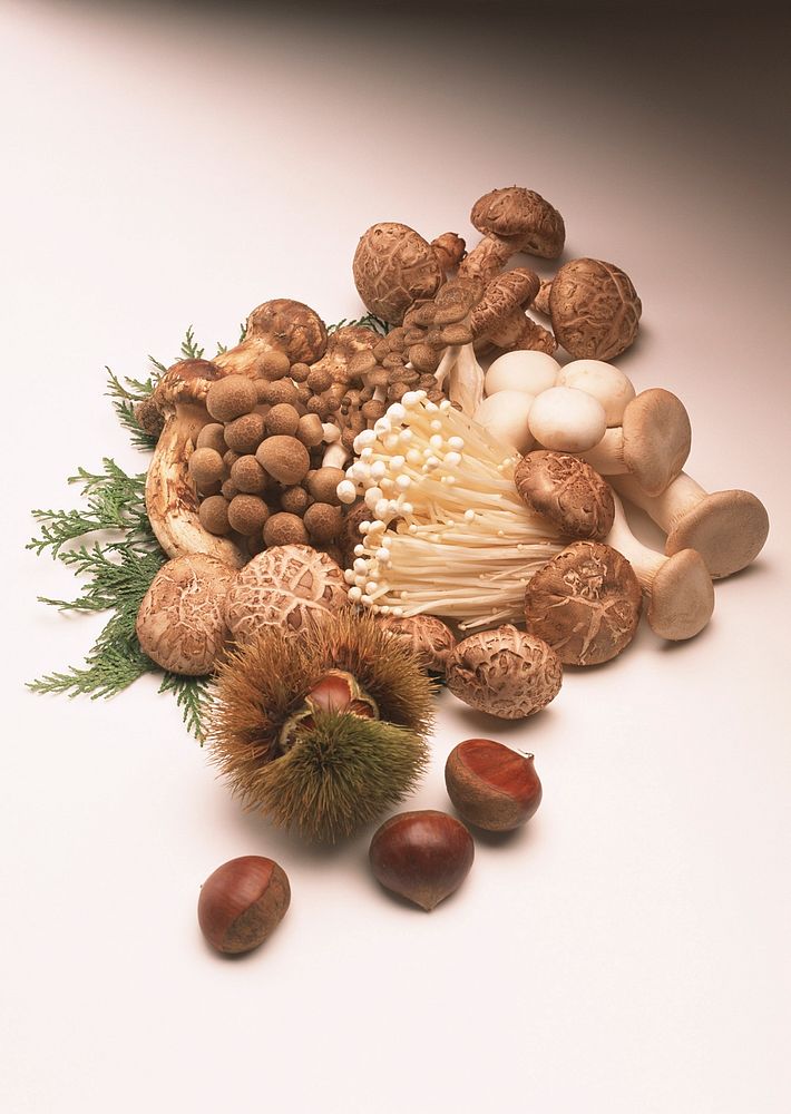 Close Up Of An Assortment Of Mushrooms