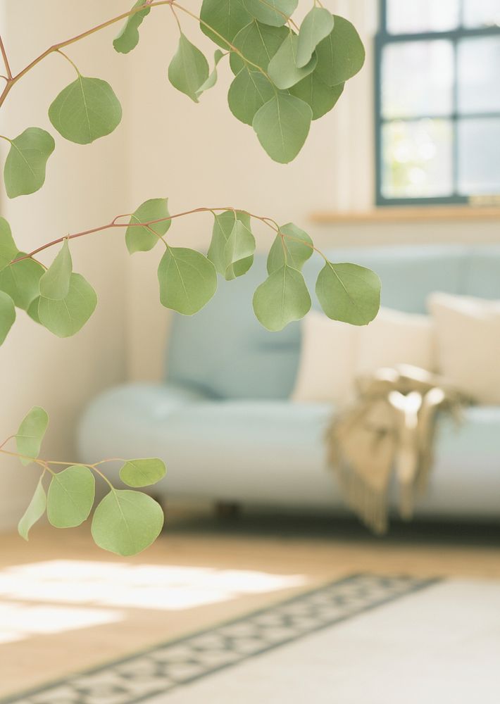 Free interior of living room with light blue sofa