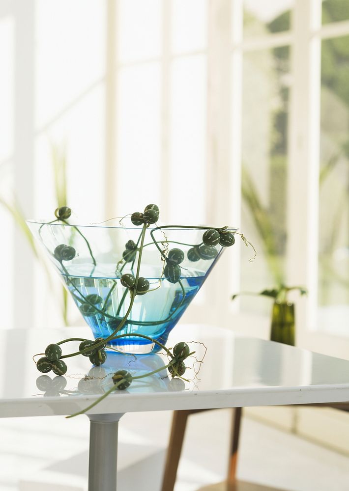 Vase On Glass Table With Sofa