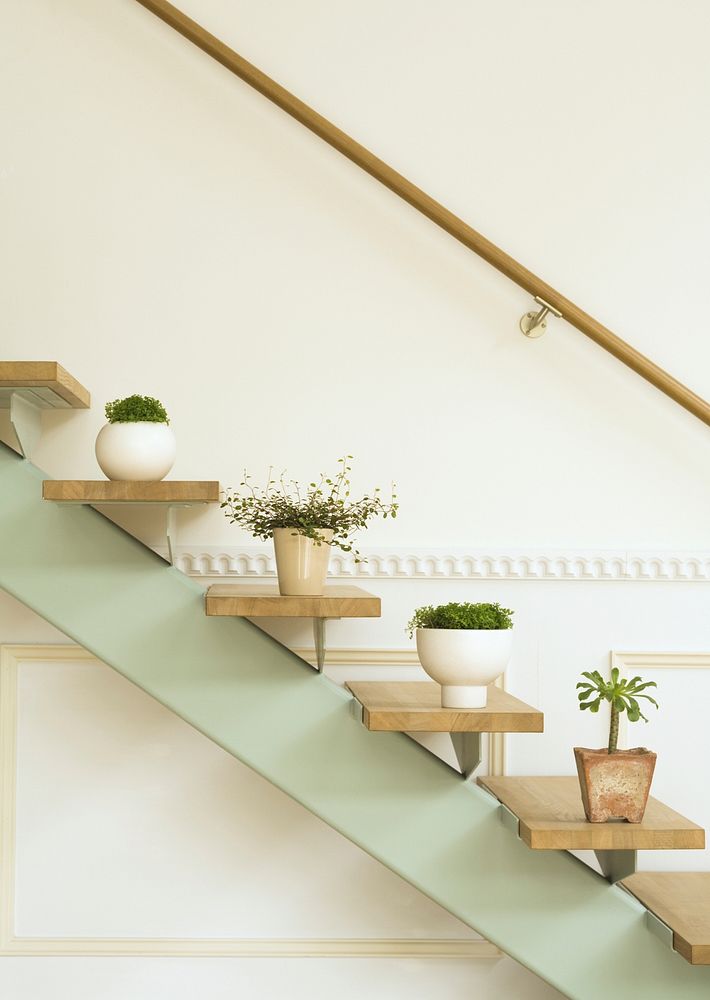 Flowerpots Situated On Wooden Stairs In Luxury Home