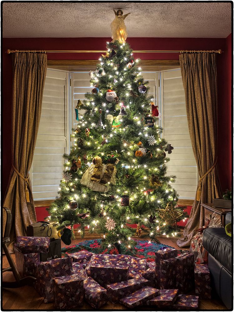 Free Christmas tree image, public domain decoration CC0 photo.